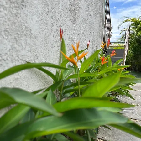 Seasons Break Apartment Pereybere